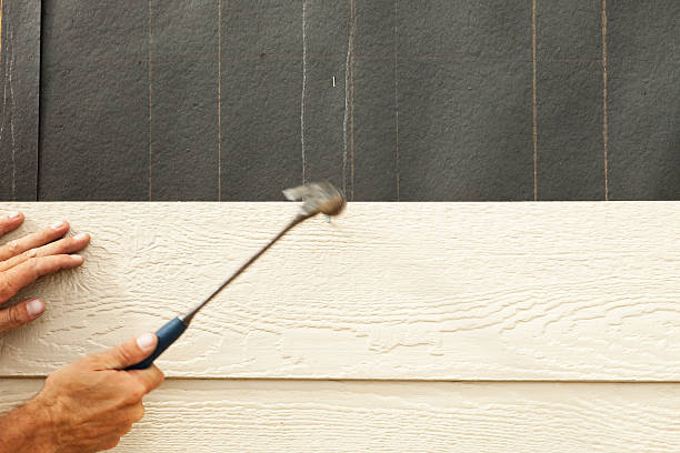 Best Brick Veneer Siding  in Columbus, IN